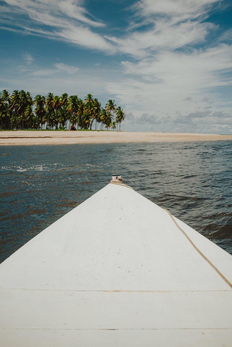 Ocean In Sunny Day