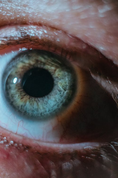 Close Up Photo of an Eye