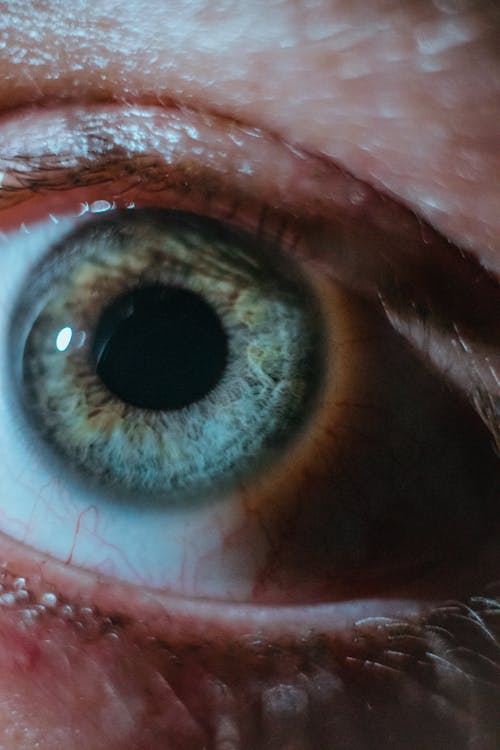 Free Close Up Photo of an Eye Stock Photo