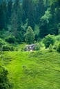 Brown Wooden House Surrounded by Green Trees
