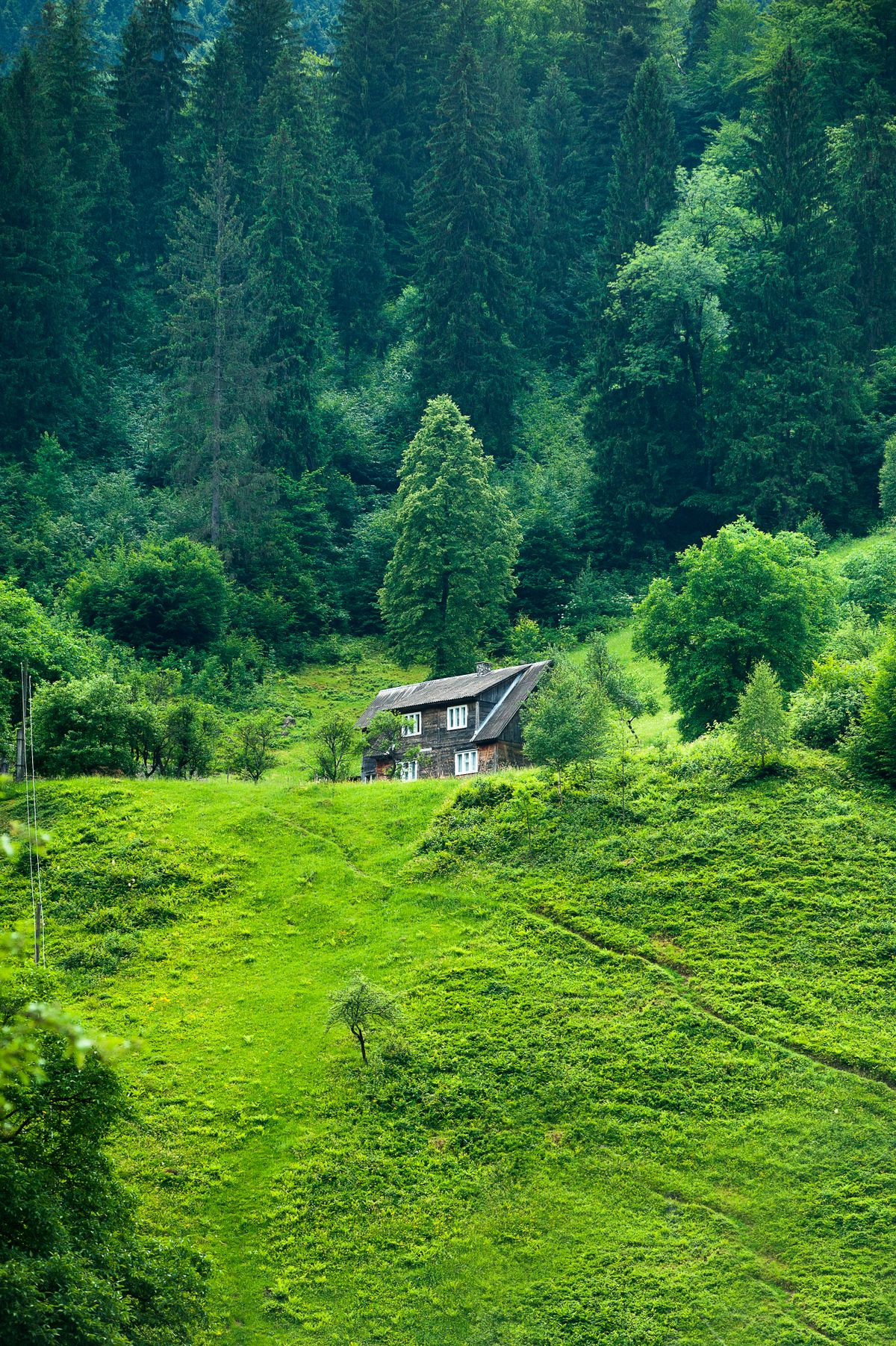 Agricultural plots and hillside terraces in Saint-Privat protected by preventative fencing