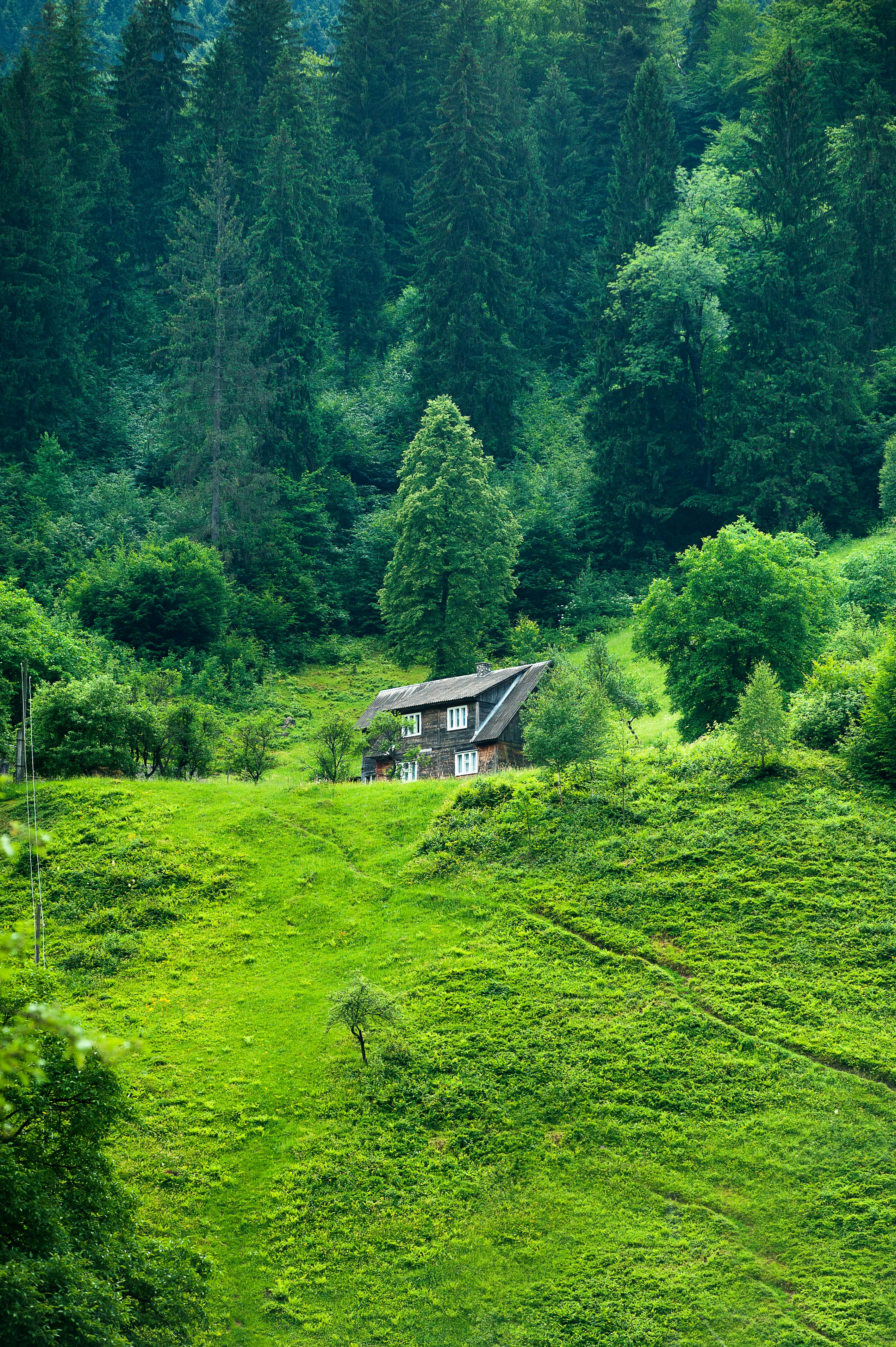 30,000+ Best Hill Photos · 100% Free Download · Pexels Stock Photos