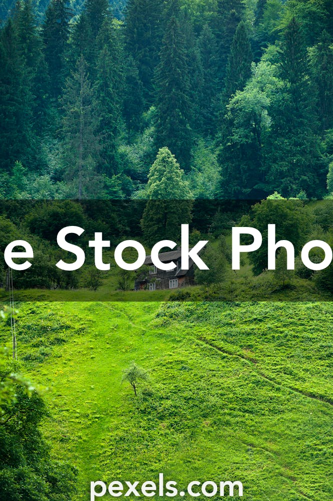 Green Nature Photos, Download The BEST Free Green Nature Stock Photos & HD  Images