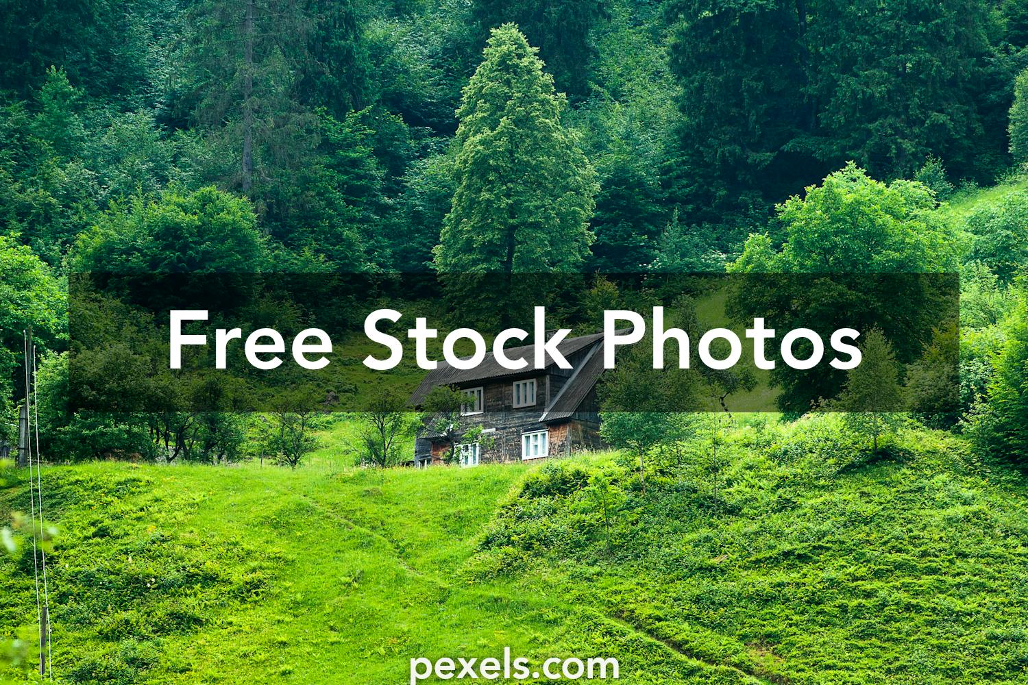 Green Nature Photos, Download The BEST Free Green Nature Stock Photos & HD  Images