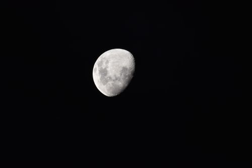 Free Crisp and detailed photograph of the moon set against a dark night sky, perfect for astrophotography enthusiasts. Stock Photo