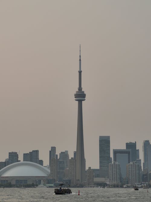 무료 CN 타워, 강가, 고층 건물의 무료 스톡 사진