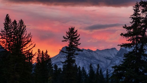 Alberta Government Commissions $1.5M Study on the Cost of Leaving Canada
