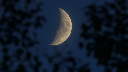 Free Crescent Moon Stock Photo