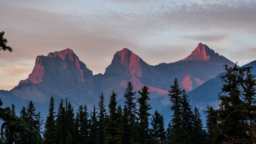 бесплатная Бесплатное стоковое фото с восход, деревья, долина Стоковое фото