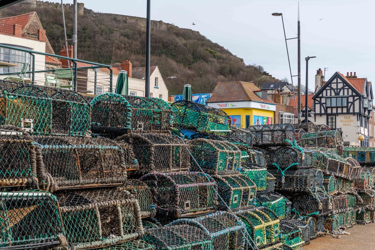 storage moves in Stonehaven — Loaded properly: blankets, straps and a plan in Stonehaven