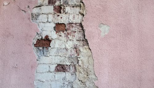 Free Photo of Pink Painted Wall Stock Photo