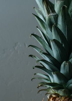 在极简主义背景下，菠萝叶的详细特写展示了独特的纹理