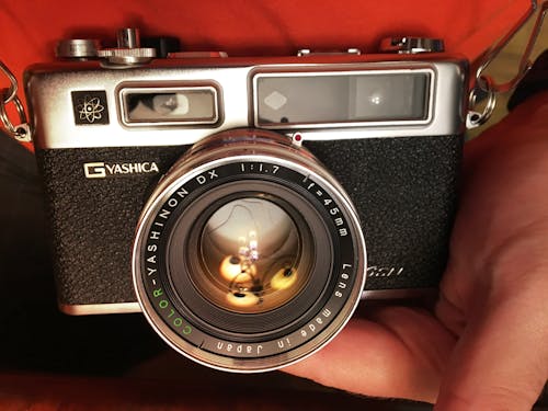Free stock photo of analog camera, camera, film photography Stock Photo