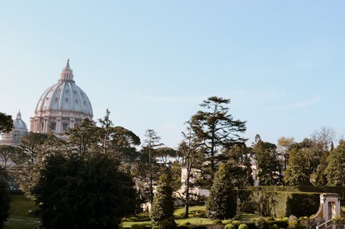 Gratis lagerfoto af kirke, st peters basilica, træer