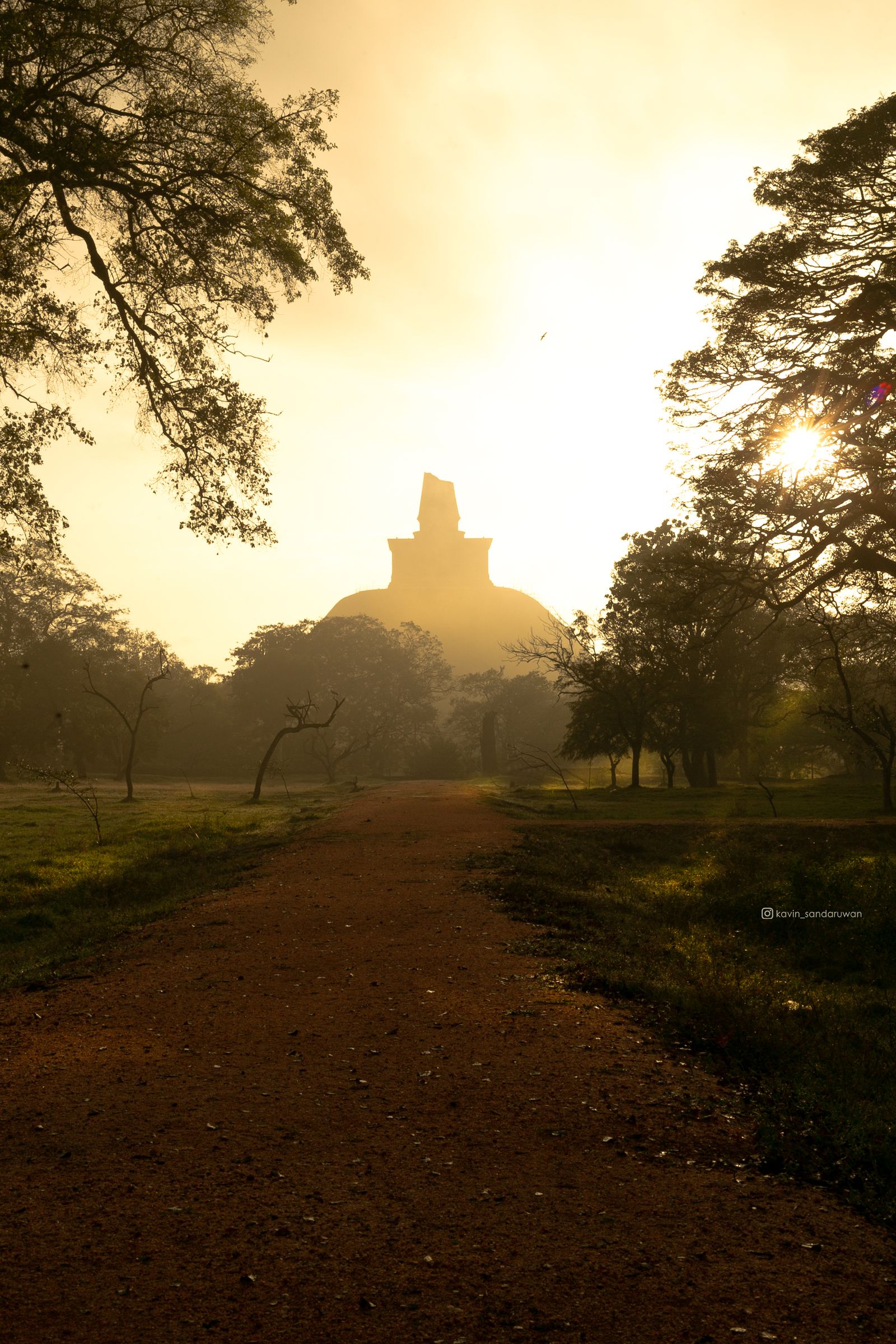 Ancient stupa surrounded by trees in Anuradhapura Sri Lanka