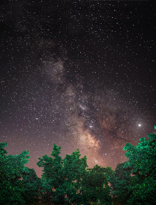 Безкоштовне стокове фото на тему «galaxy, астрономія, дерева» стокове фото