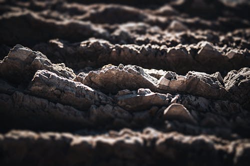 Fotobanka s bezplatnými fotkami na tému pevný, povrch, rock