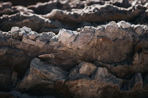免费 困難, 岩石, 特写 的 免费素材图片 素材图片