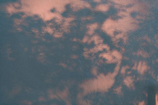 Wunderschöner Baum & Schatten – Minimalistisches Wallpaper