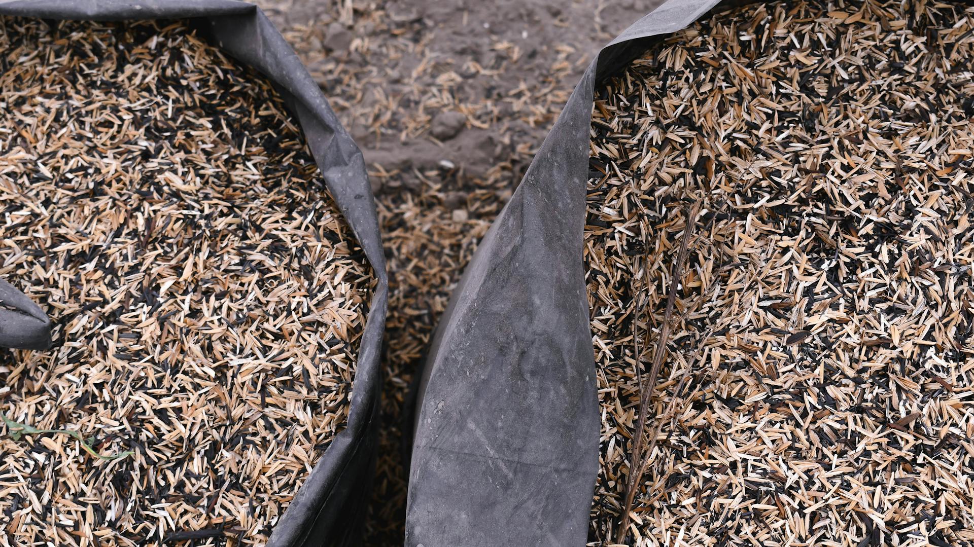 Close-up high angle view of bags filled with rice husks in an agricultural setting.