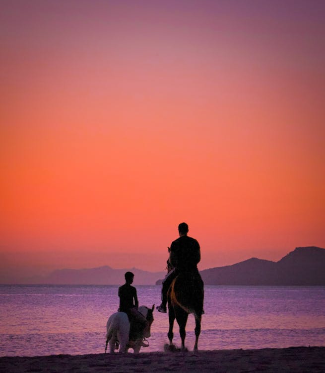Silhouette of men Riding Horses on Beach during Sunset