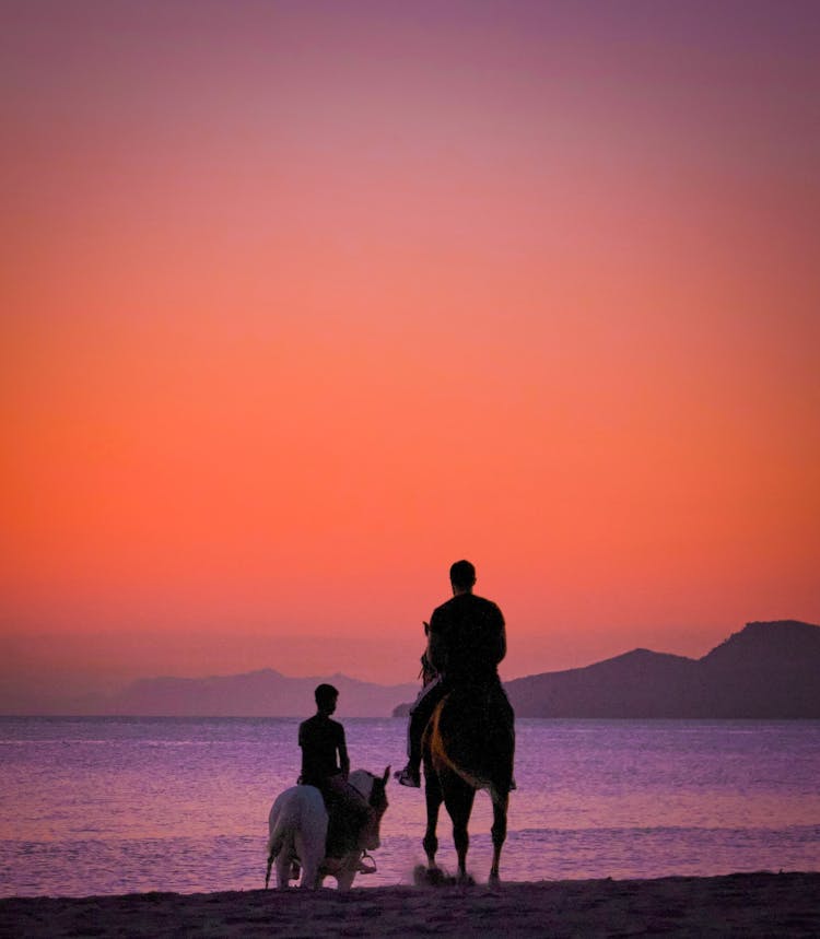 Silhouette Of Men Riding Horses On Beach During Sunset