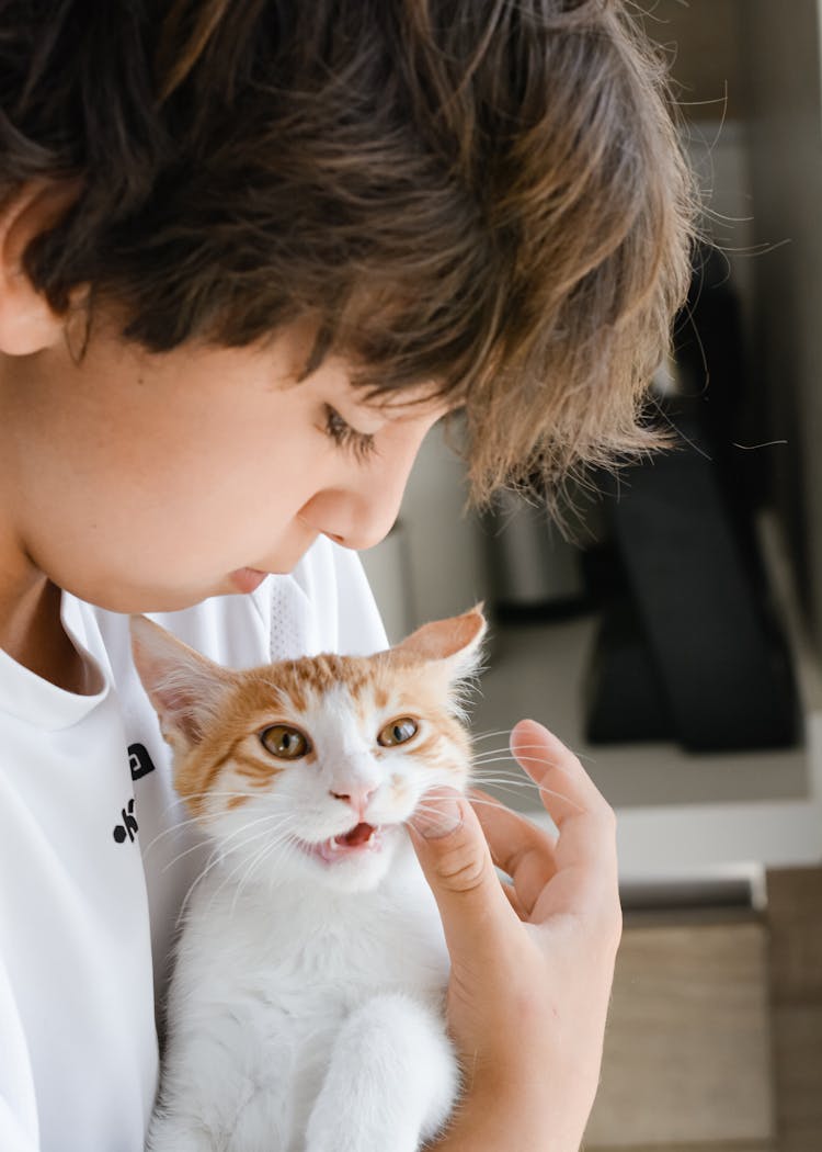 Close Up Photo Of A Boy Holding A Cat