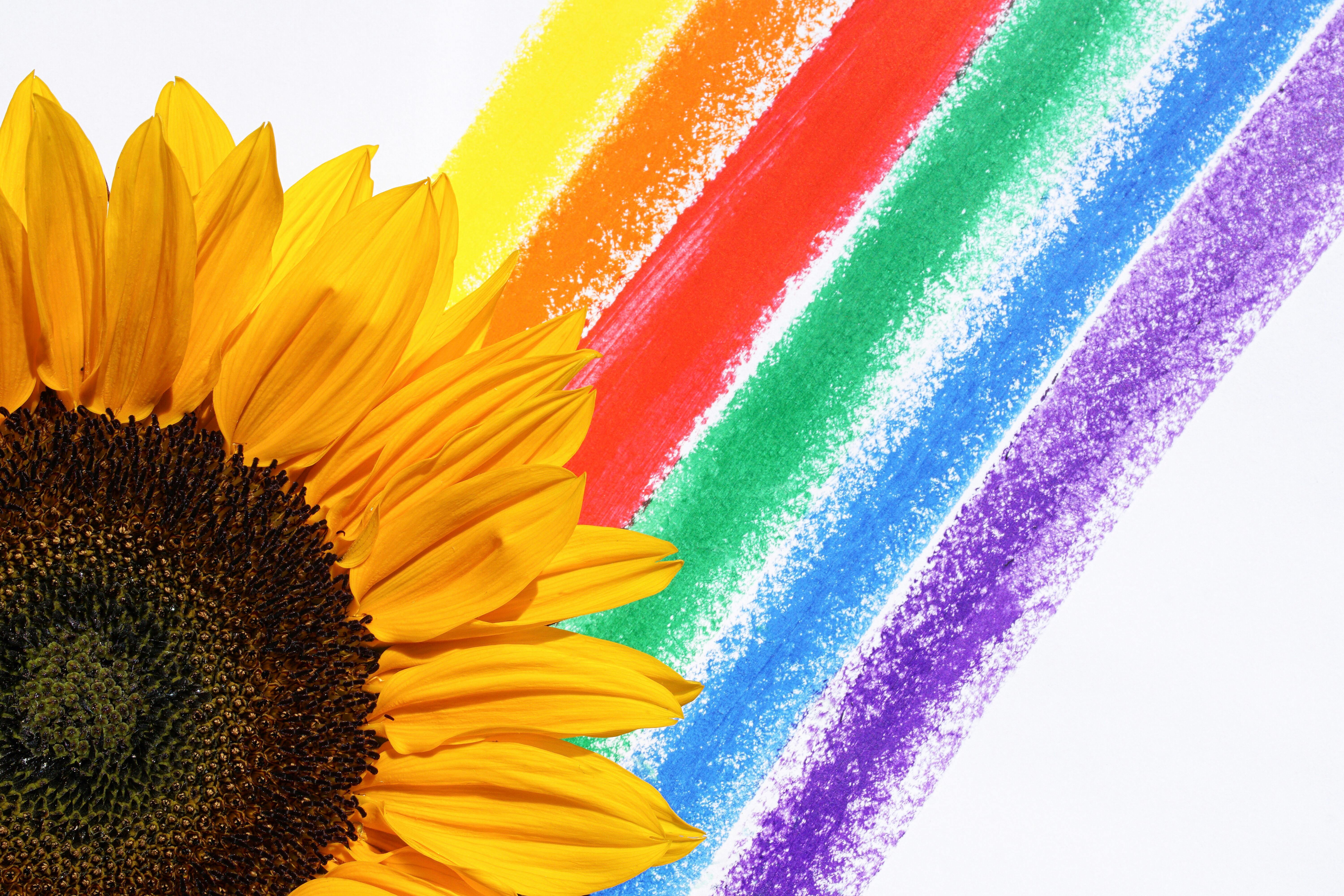 Rainbow Paper Background Stock Photo, Picture and Royalty Free Image. Image  30795656.