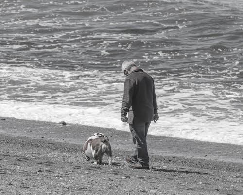 Free Back View of an Elderly Man Walking with His Dog on Seashore Stock Photo