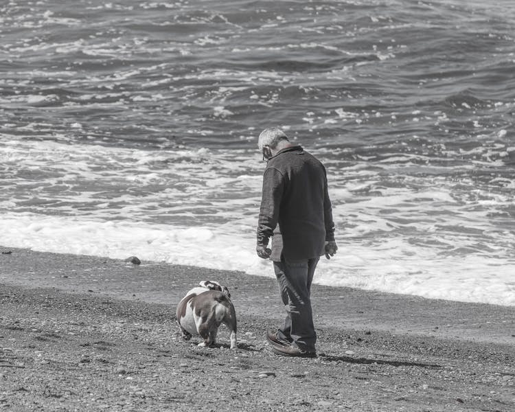 Back View Of An Elderly Man Walking With His Dog On Seashore