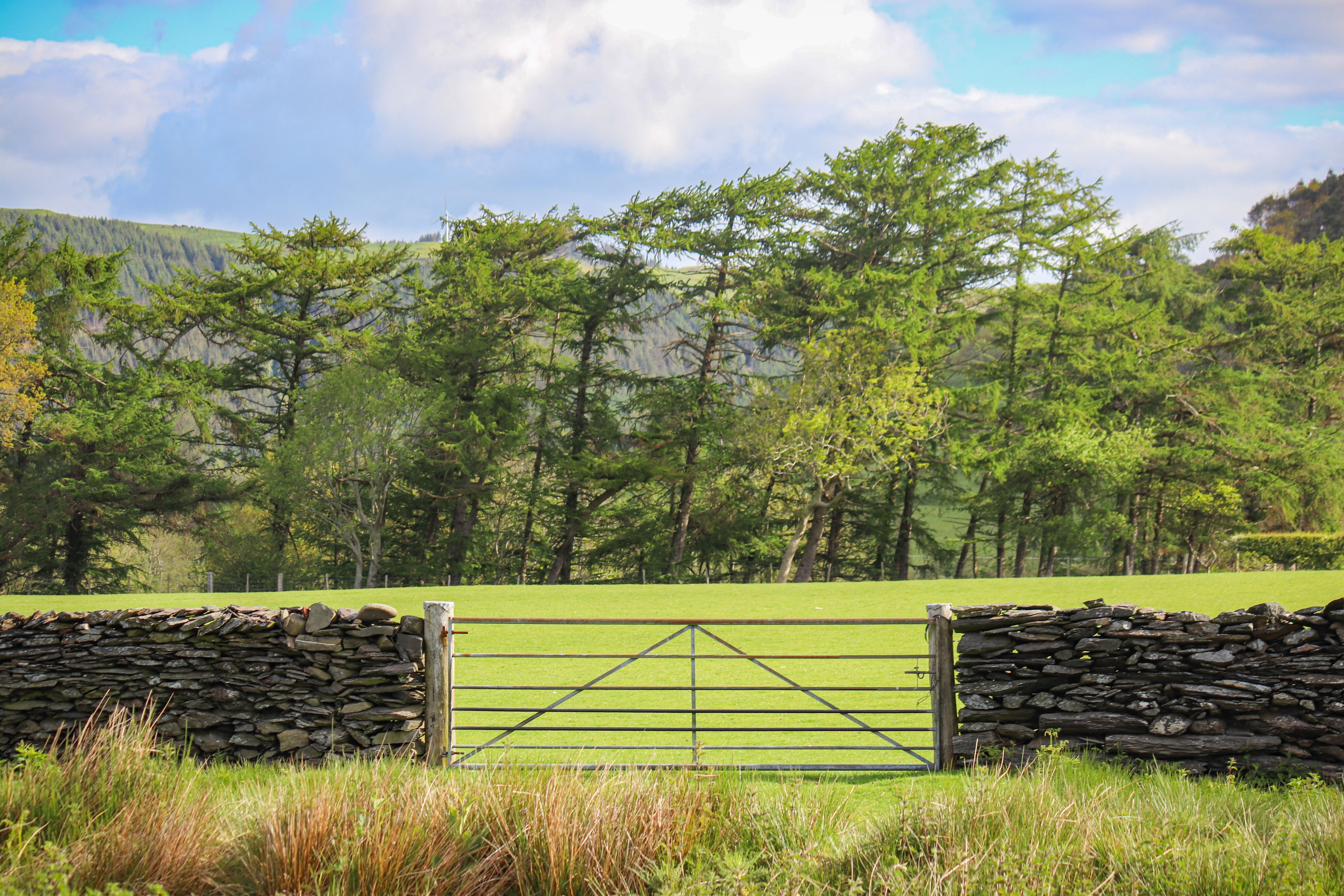 UK countryside summer vacation landscape