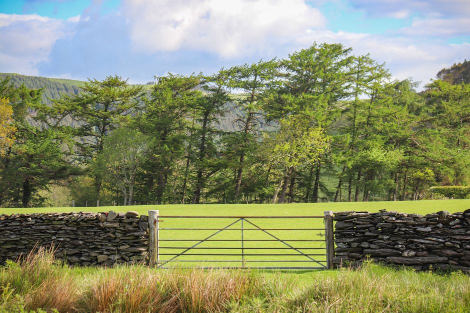 UK countryside summer vacation landscape