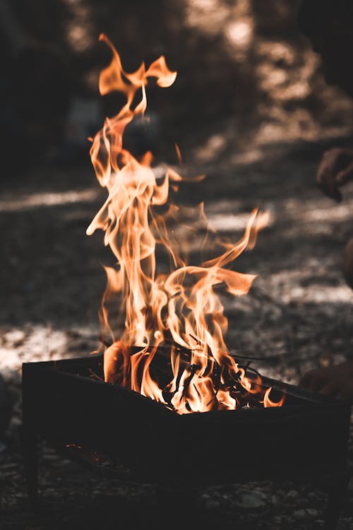 Imagine de stoc gratuită din arde, ars, atrăgător
