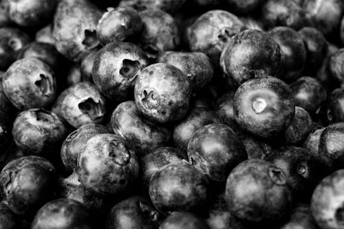 Gratis arkivbilde med blåbær, gråskala, makrofotografering