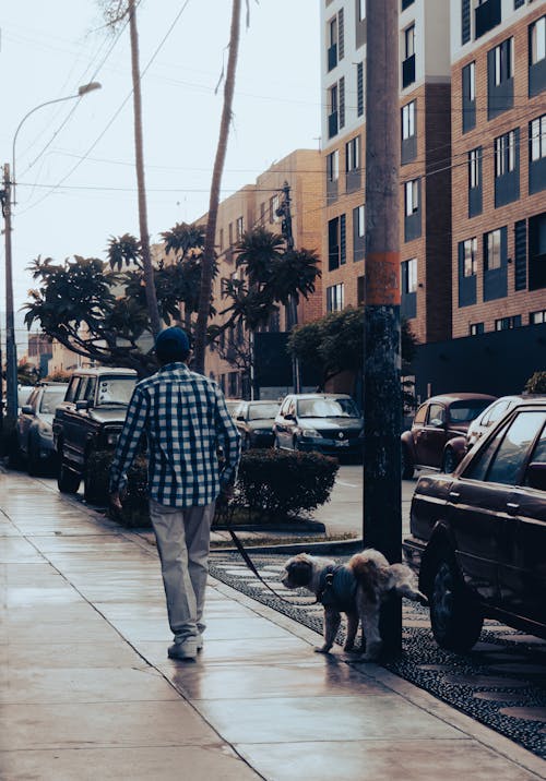 Man Walking on Sidewalk with a Dog