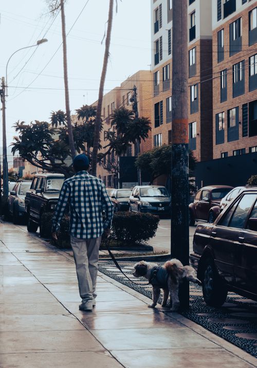 Free A person walks a dog on a leash in a bustling city street, showcasing urban life and pet companionship. Stock Photo