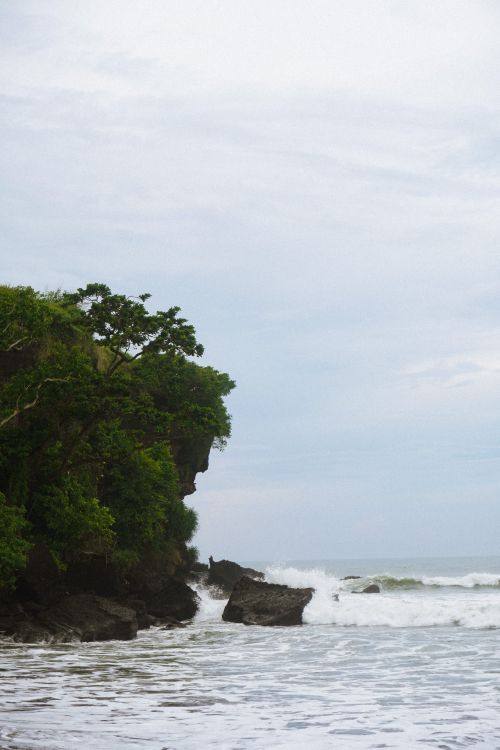 Free A striking coastal cliff with lush greenery overlooks the ocean waves on a cloudy day. Stock Photo