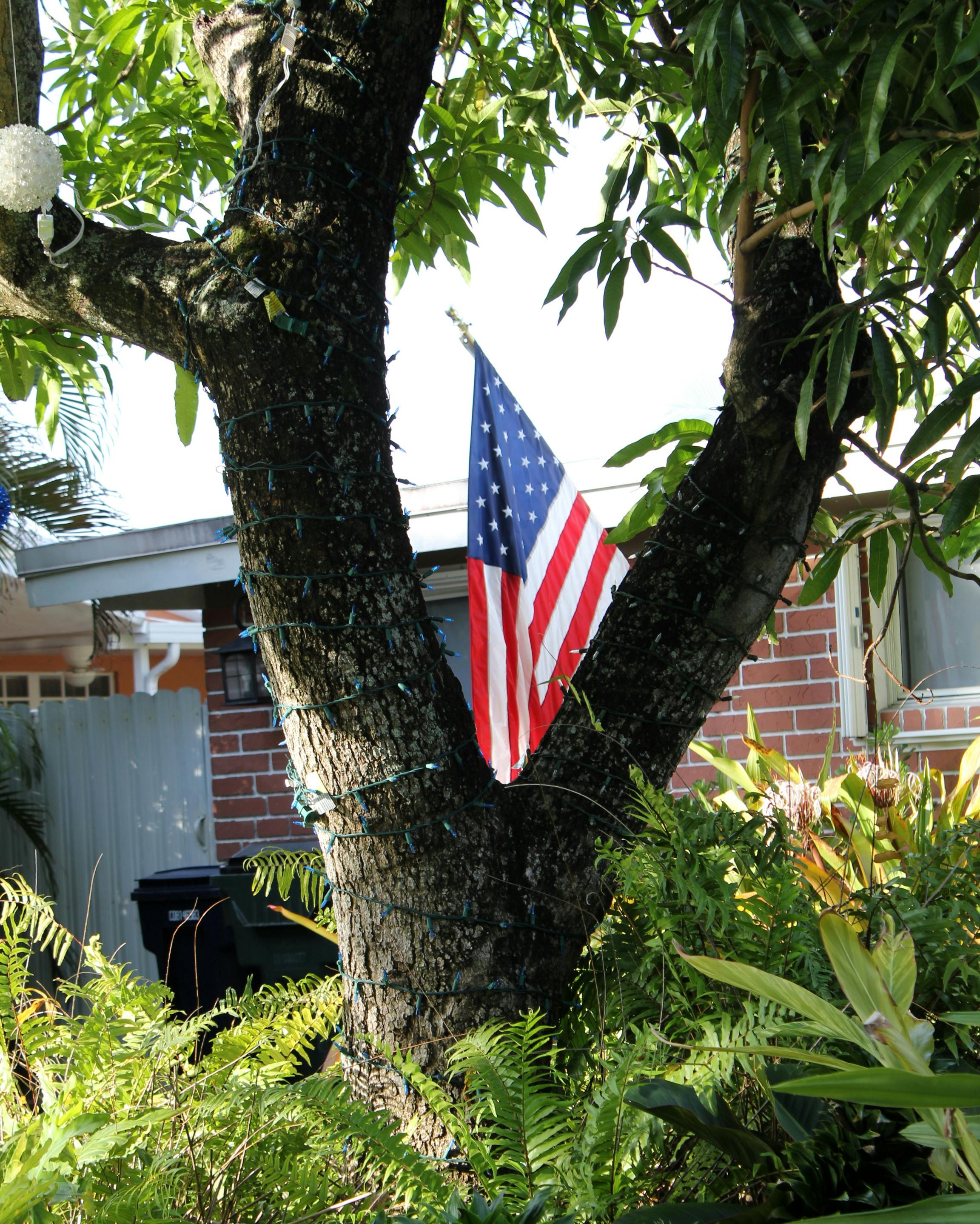 Episode 2803: Live Coverage From Miami: Bomb Scares At The Courthouse