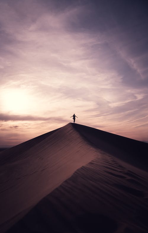 Silhouette of Person Standing on Sand During Sunset