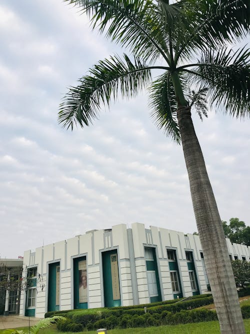 Fotos de stock gratuitas de árbol verde, edificio, nube