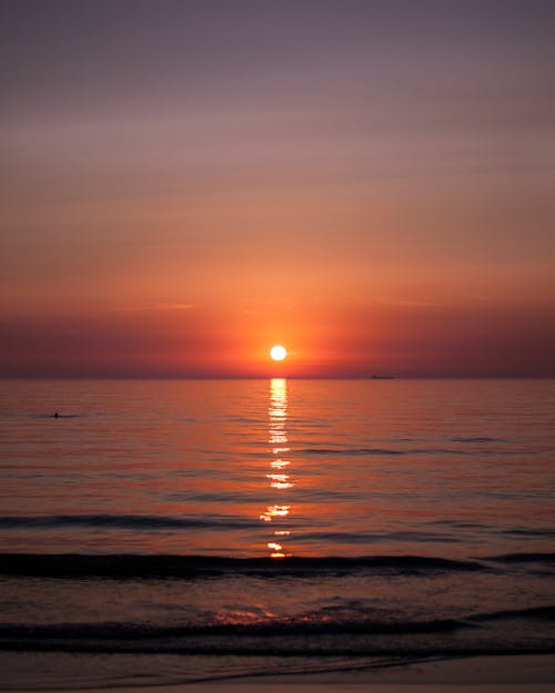 Free stock photo of beach sunset