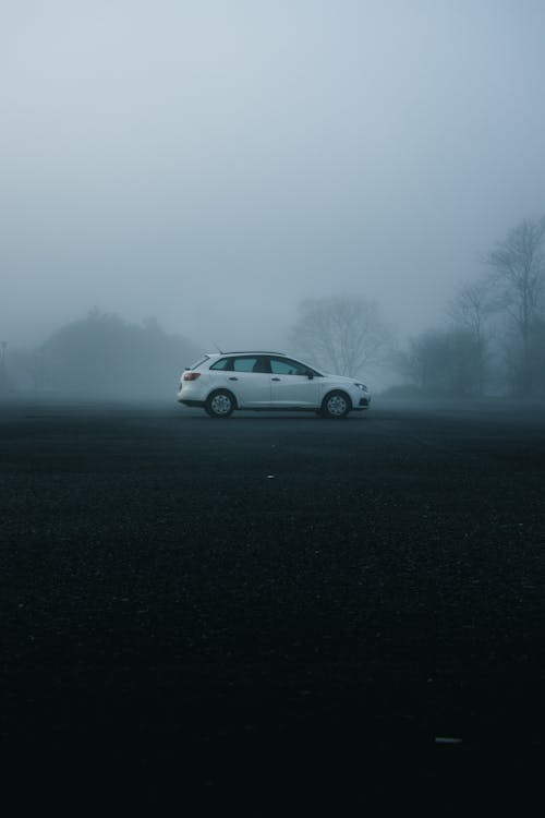 White Car Standing at Park on Foggy Day 