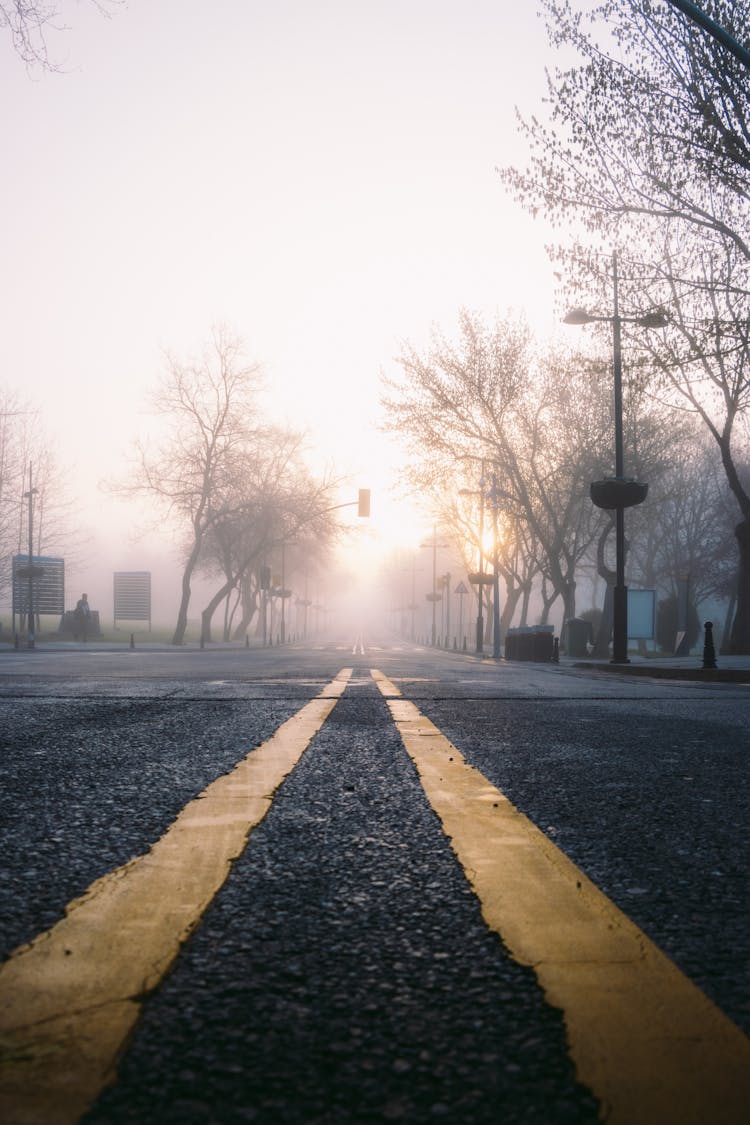 Yellow Dividing Lines On Road On Misty Morning In Suburbs.