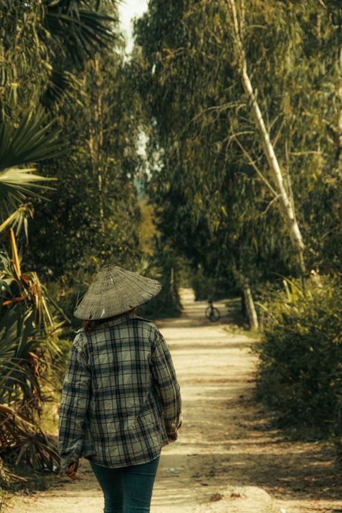 Free A woman in a paddy hat and plaid shirt walks down a tree-lined dirt road in Vietnam. Stock Photo