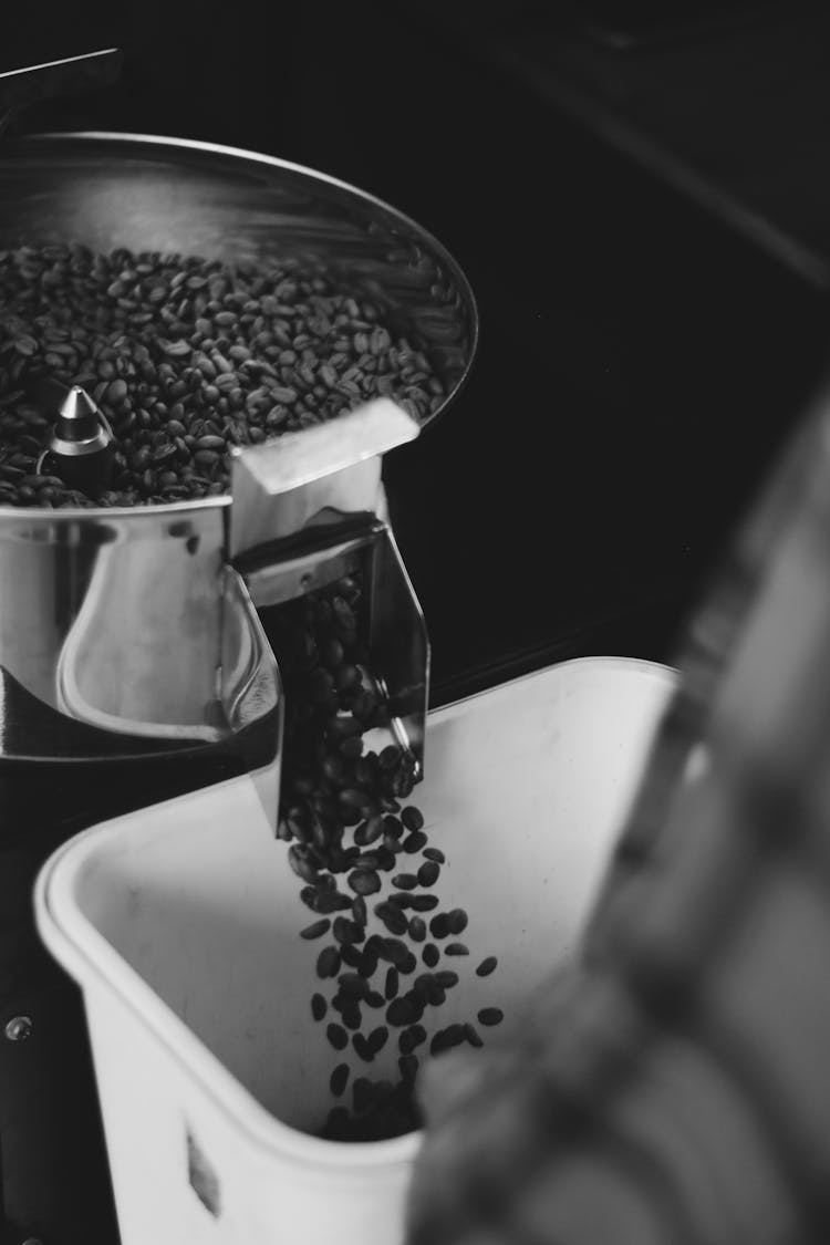 Coffee Beans In A Container In A Roastery 