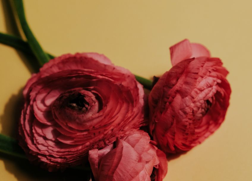 Online dating: starting a conversation on a niche platform
