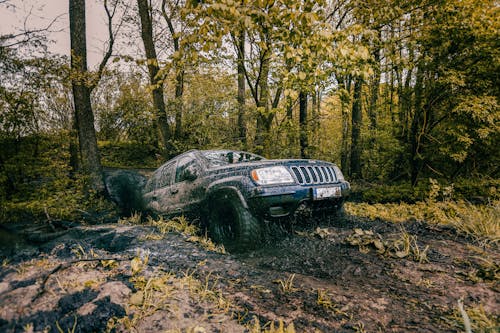 Free 4x4 Vehicle Driving on Dirt Stock Photo