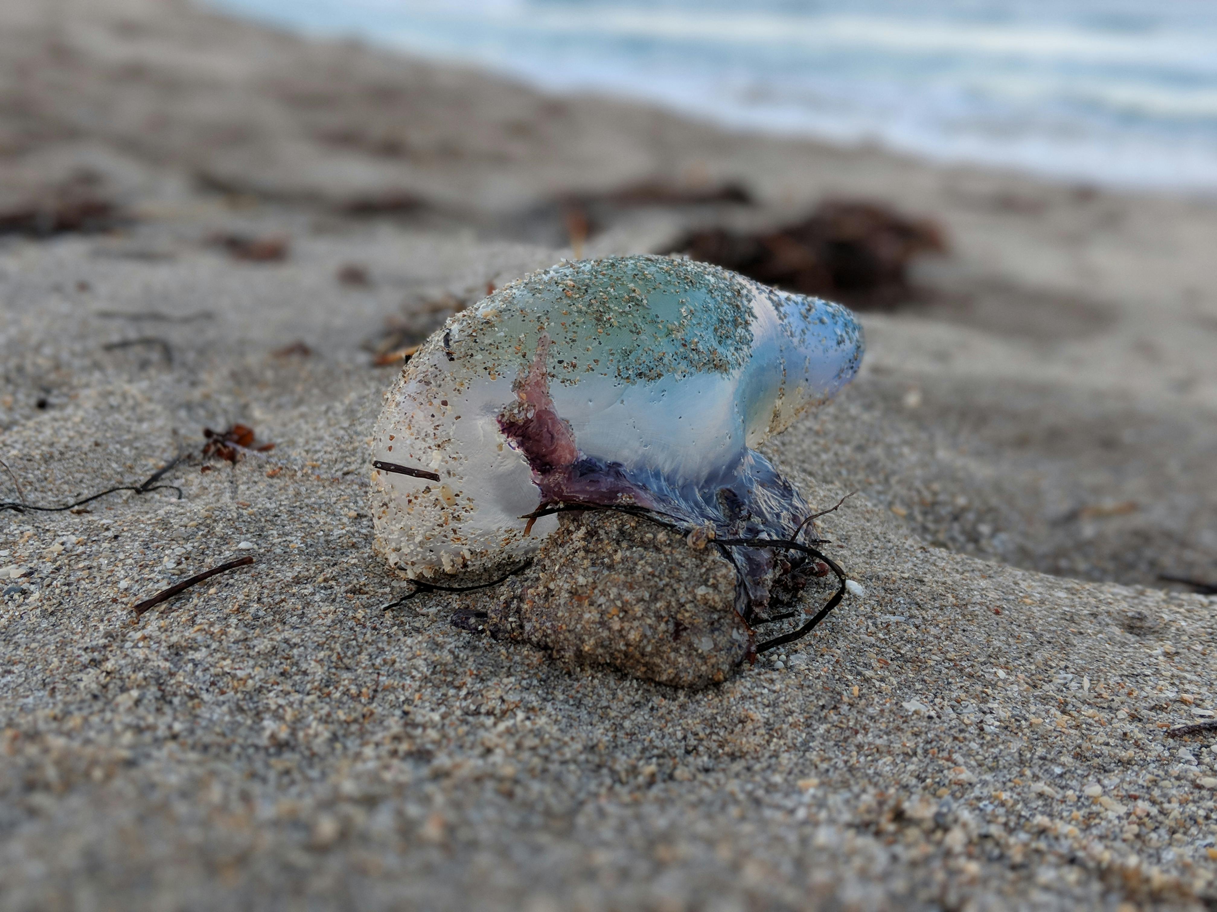 The Suffering Servant: Isaiah 52-53 and Jesus Christ – Discover the Shocking Truths They Never Told You