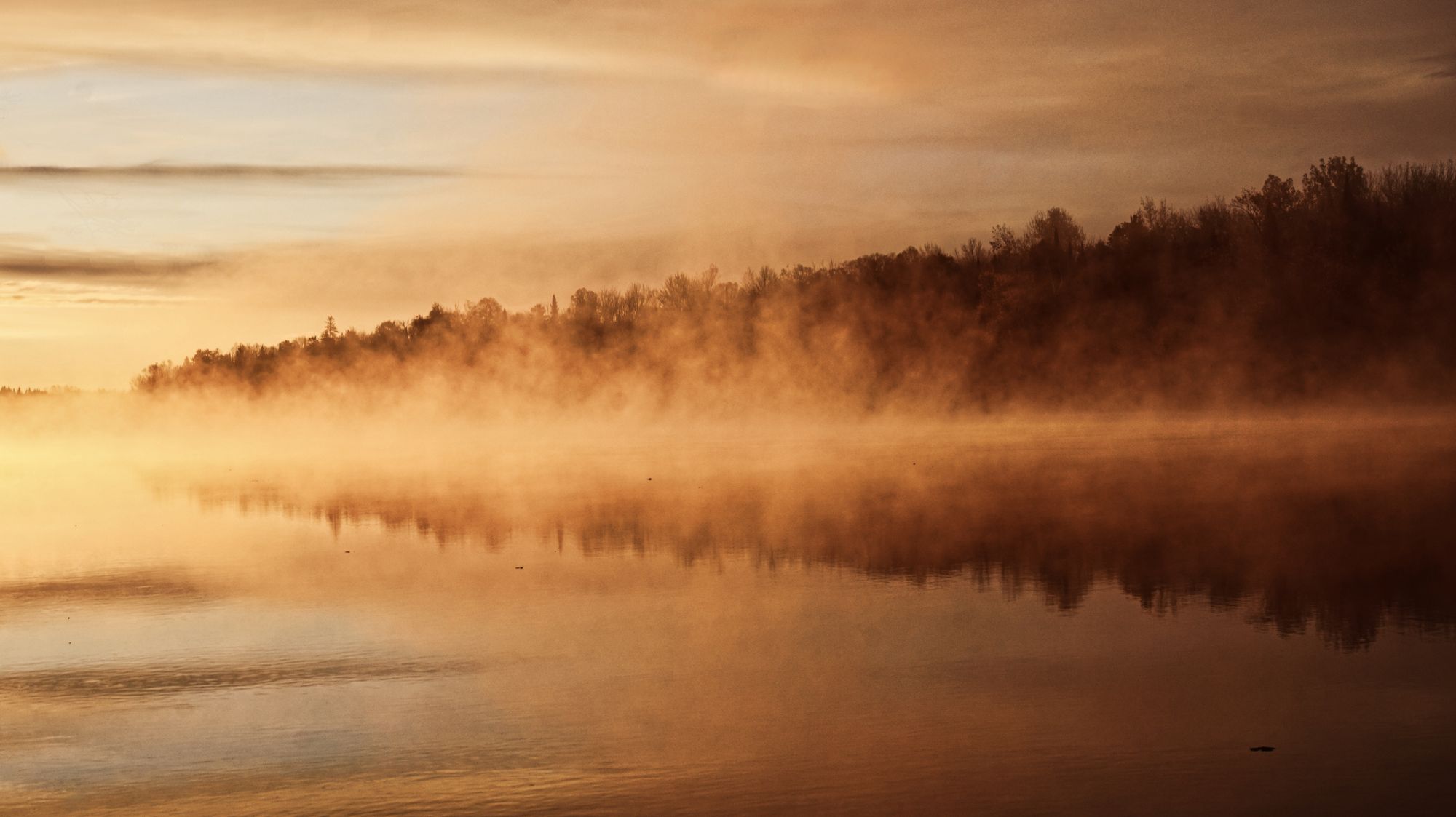 First light burning through mist on a still lake, the treeline dissolving into fog
