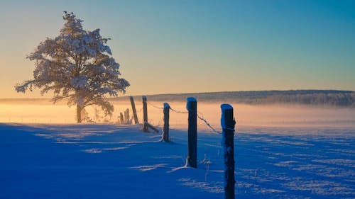 フィールド, フェンス, 冬の無料の写真素材